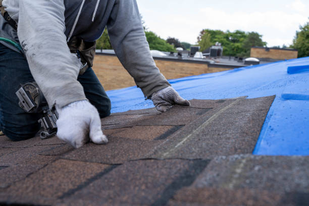 Roof Gutter Cleaning in Cambridge, OH